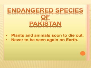 Endangered species of pakistan A Lecture By Mr Allah Dad Khan Visiting ...