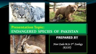Endangered species of pakistan | PPTX