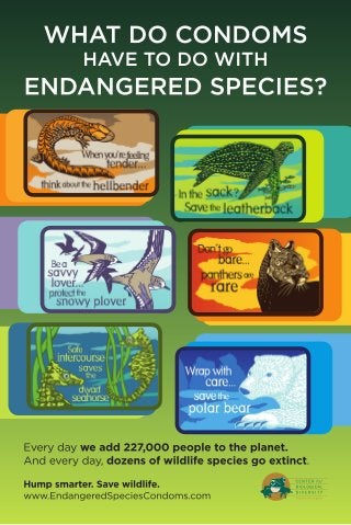Endangered Species Condoms Poster