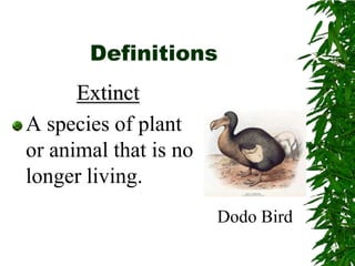 DefinitionsExtinctA species of plant or animal that is no longer living.Dodo Bird