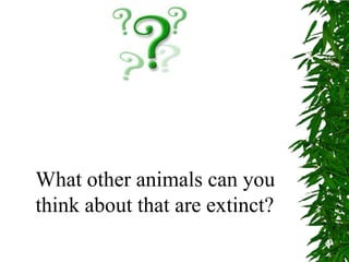 What other animals can you think about that are extinct?
