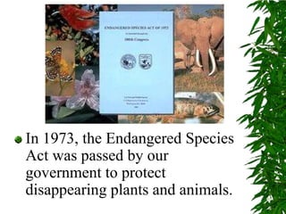 In 1973, the Endangered Species Act was passed by our government to protect disappearing plants and animals.