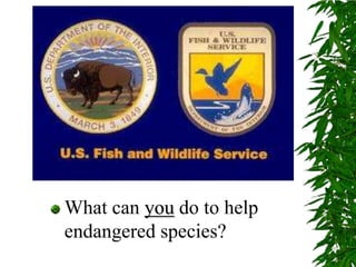 What can you do to help endangered species?