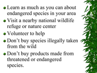 Learn as much as you can about endangered species in your areaVisit a nearby national wildlife refuge or nature centerVolunteer to helpDon’t buy species illegally taken from the wildDon’t buy products made from threatened or endangered species.