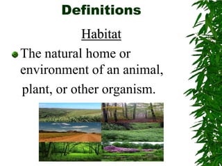DefinitionsHabitatThe natural home or environment of an animal,    plant, or other organism.