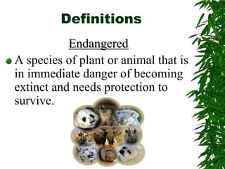 Endangered species powerpoint