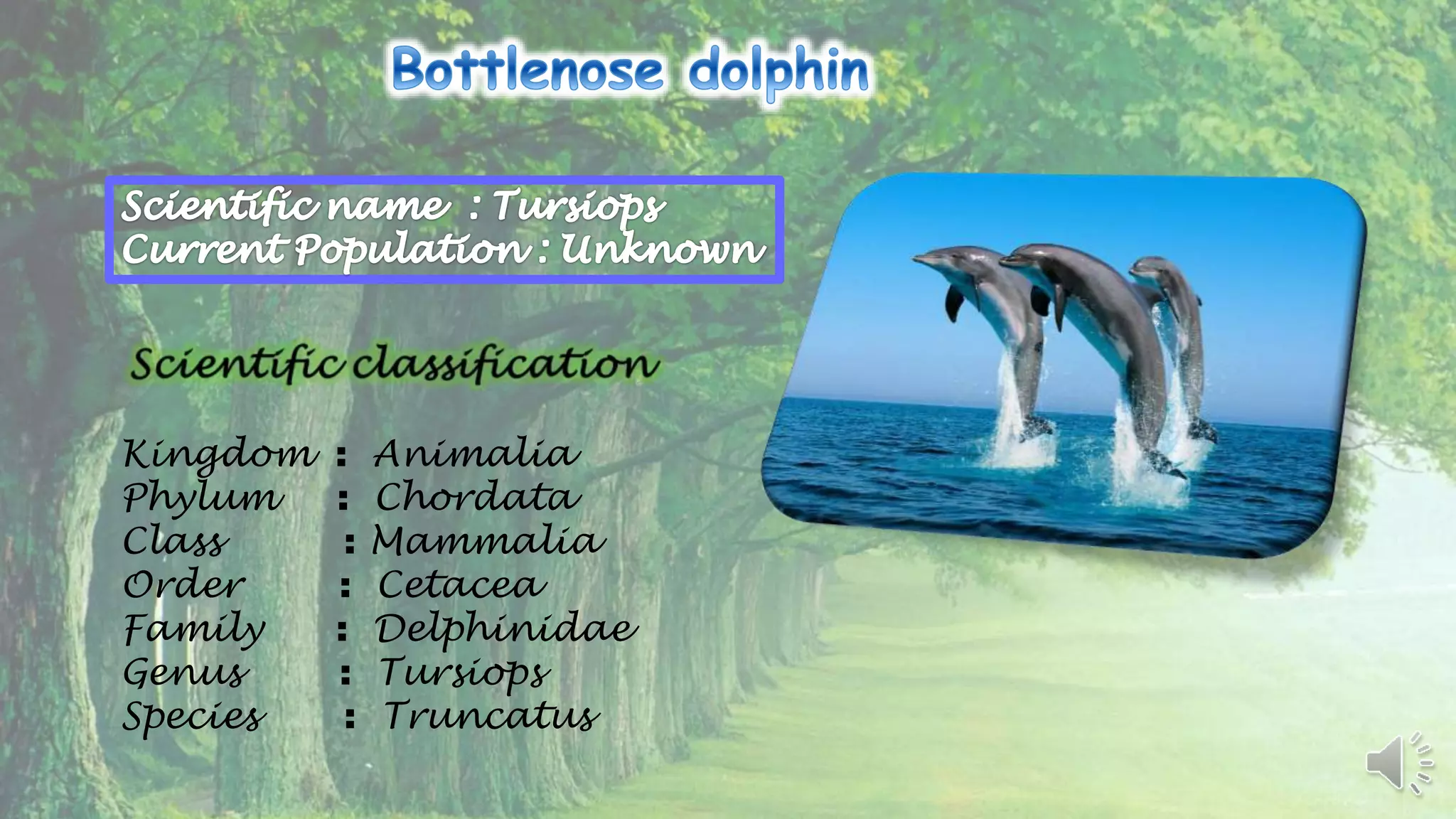 Endangered Species : Power Point Presentation | PPTX