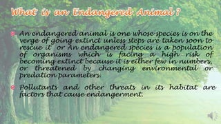 Endangered Species : Power Point Presentation | PPTX