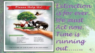 Endangered Species : Power Point Presentation | PPTX