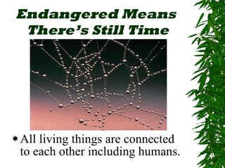 Endangered Means  There’s Still Time All living things are connected to each other including humans. 