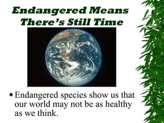 Endangered Means  There’s Still Time Endangered species show us that our world may not be as healthy as we think. 