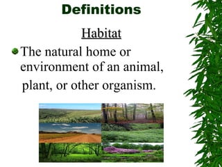 Definitions Habitat The natural home or environment of an animal,  plant, or other organism. 
