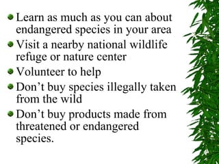 <ul><li>Learn as much as you can about endangered species in your area </li></ul><ul><li>Visit a nearby national wildlife ...