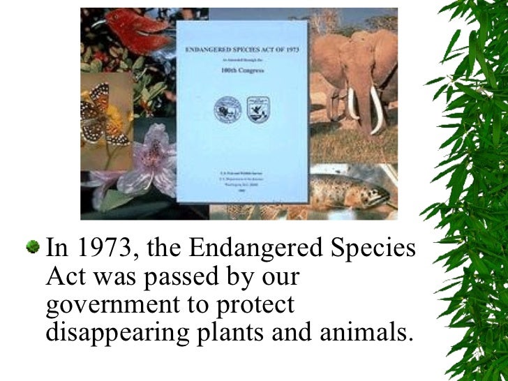 Download Ppt On Save Endangered Species