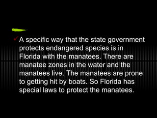 Endangered Species Presentation | PPT | Free Download