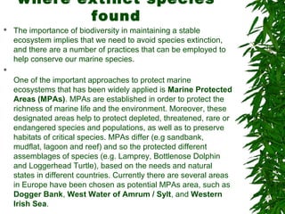 where extinct species
found
 The importance of biodiversity in maintaining a stable
ecosystem implies that we need to avoid species extinction,
and there are a number of practices that can be employed to
help conserve our marine species.

One of the important approaches to protect marine
ecosystems that has been widely applied is Marine Protected
Areas (MPAs). MPAs are established in order to protect the
richness of marine life and the environment. Moreover, these
designated areas help to protect depleted, threatened, rare or
endangered species and populations, as well as to preserve
habitats of critical species. MPAs differ (e.g sandbank,
mudflat, lagoon and reef) and so the protected different
assemblages of species (e.g. Lamprey, Bottlenose Dolphin
and Loggerhead Turtle), based on the needs and natural
states in different countries. Currently there are several areas
in Europe have been chosen as potential MPAs area, such as
Dogger Bank, West Water of Amrum / Sylt, and Western
Irish Sea.
 