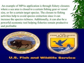 An example of MPAs application is through fishery closures
where a sea area is closed to a certain fishing gear or vessel
size, or for a certain target species. The closure to fishing
activities help to avoid species extinction since it can
increase the species richness. Additionally, it can also be a
powerful economic tool helping fisheries remain productive
and profitable
 