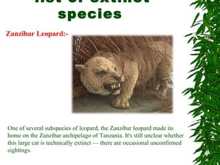 list of extinct
species
Zanzibar Leopard:-
One of several subspecies of leopard, the Zanzibar leopard made its
home on the Zanzibar archipelago of Tanzania. It's still unclear whether
this large cat is technically extinct — there are occasional unconfirmed
sightings.
 