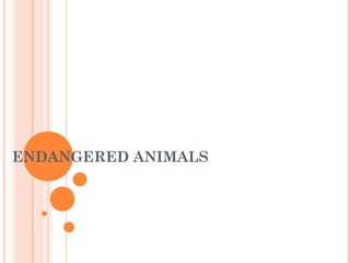 ENDANGERED ANIMALS
 
