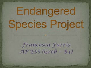 Endangered Species Project Francesca Farris AP ESS (Greb – B4) 