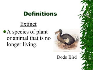 Definitions Extinct A species of plant or animal that is no longer living. Dodo Bird 