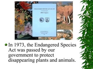 In 1973, the Endangered Species Act was passed by our government to protect disappearing plants and animals. 