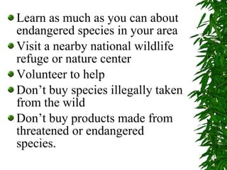 Learn as much as you can about endangered species in your area Visit a nearby national wildlife refuge or nature center Volunteer to help Don’t buy species illegally taken from the wild Don’t buy products made from threatened or endangered species. 