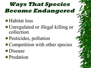 Ways That Species Become Endangered Habitat loss Unregulated or illegal killing or collection Pesticides, pollution Competition with other species Disease Predation 