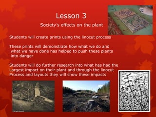 Lesson 3
                Society’s effects on the plant

Students will create prints using the linocut process

These prints will demonstrate how what we do and
 what we have done has helped to push these plants
 into danger

Students will do further research into what has had the
Largest impact on their plant and through the linocut
Process and layouts they will show these impacts
 