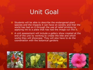 Unit Goal
 Students will be able to describe the endangered plant
  species and the impacts it can have on society and that the
  world has had on it through the use of relief printing by
  applying ink to a plate that has had the image cut into it.
 A unit assessment will include a gallery show created at the
  end of the unit by working to create the title and which
  works they will showcase. They will also have to do the
  coordination with the botanical gardens
 