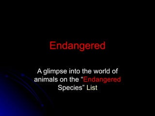 Endangered A glimpse into the world of animals on the “ Endangered  Species”  List 