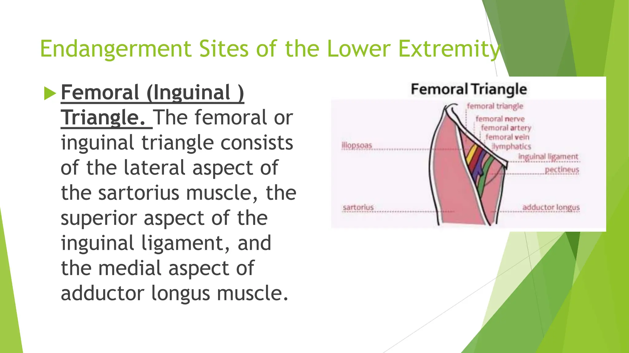 Endangerment sites in wellness massagesss | PPTX