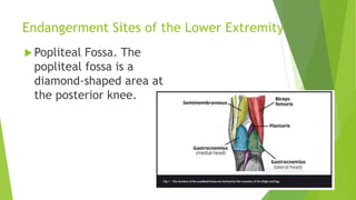 Endangerment sites in wellness massagesss | PPTX