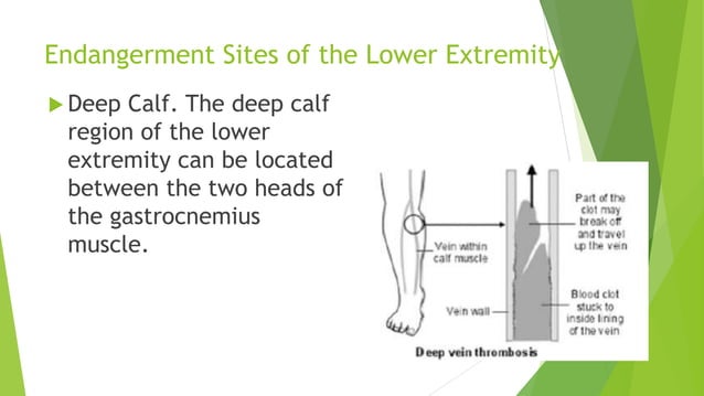 Endangerment sites in wellness massagesss | PPTX
