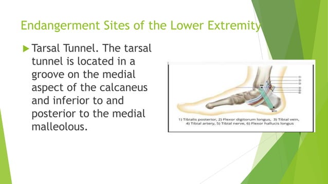 Endangerment sites in wellness massagesss | PPTX