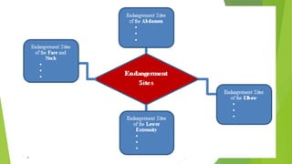 Endangerment sites in wellness massagesss | PPTX