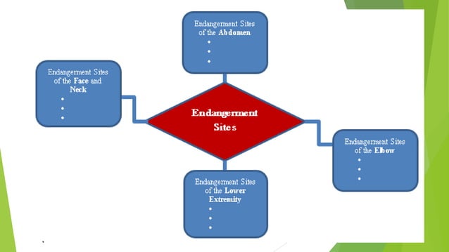 Endangerment sites in wellness massagesss | PPTX