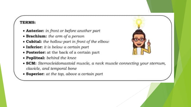 Endangerment sites in wellness massagesss | PPTX