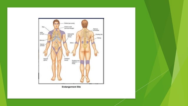 Endangerment sites in wellness massagesss | PPT