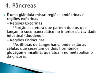    É uma glândula mista: regiões endócrinas e
    regiões exócrinas
    - Regiões Exócrinas
        *Porção secretora que partem ductos que
    lançam o suco pancreático no interior da cavidade
    intestinal (duodeno).
    - Regiões Endócrinas
        *As ilhotas de Langerhans, onde estão as
    células que secretam os dois hormônios:
    glucagon e insulina, que atuam no metabolismo
    da glicose.
 
