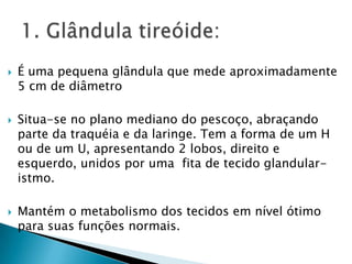    É uma pequena glândula que mede aproximadamente
    5 cm de diâmetro

   Situa-se no plano mediano do pescoço, abraçando
    parte da traquéia e da laringe. Tem a forma de um H
    ou de um U, apresentando 2 lobos, direito e
    esquerdo, unidos por uma fita de tecido glandular-
    istmo.

   Mantém o metabolismo dos tecidos em nível ótimo
    para suas funções normais.
 