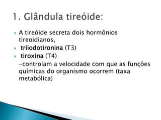    A tireóide secreta dois hormônios
    tireoidianos,
    triiodotironina (T3)
    tiroxina (T4)
    -controlam a velocidade com que as funções
    químicas do organismo ocorrem (taxa
    metabólica)
 