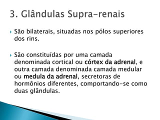    São bilaterais, situadas nos pólos superiores
    dos rins.

   São constituídas por uma camada
    denominada cortical ou córtex da adrenal, e
    outra camada denominada camada medular
    ou medula da adrenal, secretoras de
    hormônios diferentes, comportando-se como
    duas glândulas.
 