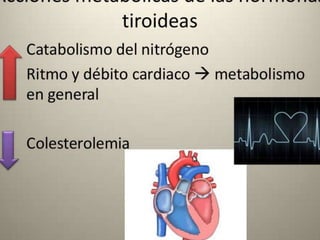 Semiología Endócrino