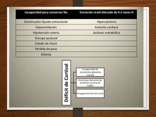 Semiología Endócrino