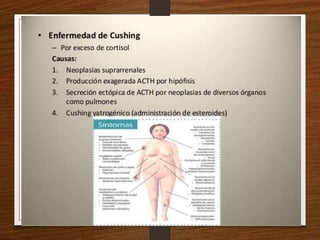 Semiología Endócrino