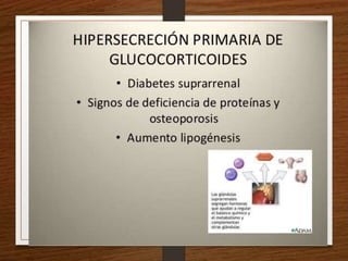 Semiología Endócrino
