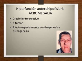 Semiología Endócrino