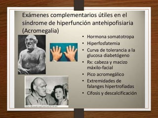 Semiología Endócrino