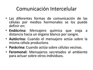 Comunicación Intercelular
• Las diferentes formas de comunicación de las
células por medios hormonales se los puede
definir en:
• Endócrina: Mensajero química que viaja a
distancia hacia un órgano blanco por sangre.
• Autócrina: Cuando el mensajero actúa sobre la
misma célula productora.
• Parácrina: Cuando actúa sobre células vecinas.
• Feromonal: Mensajeros secretados al ambiente
para actuar sobre otros individuos.
 